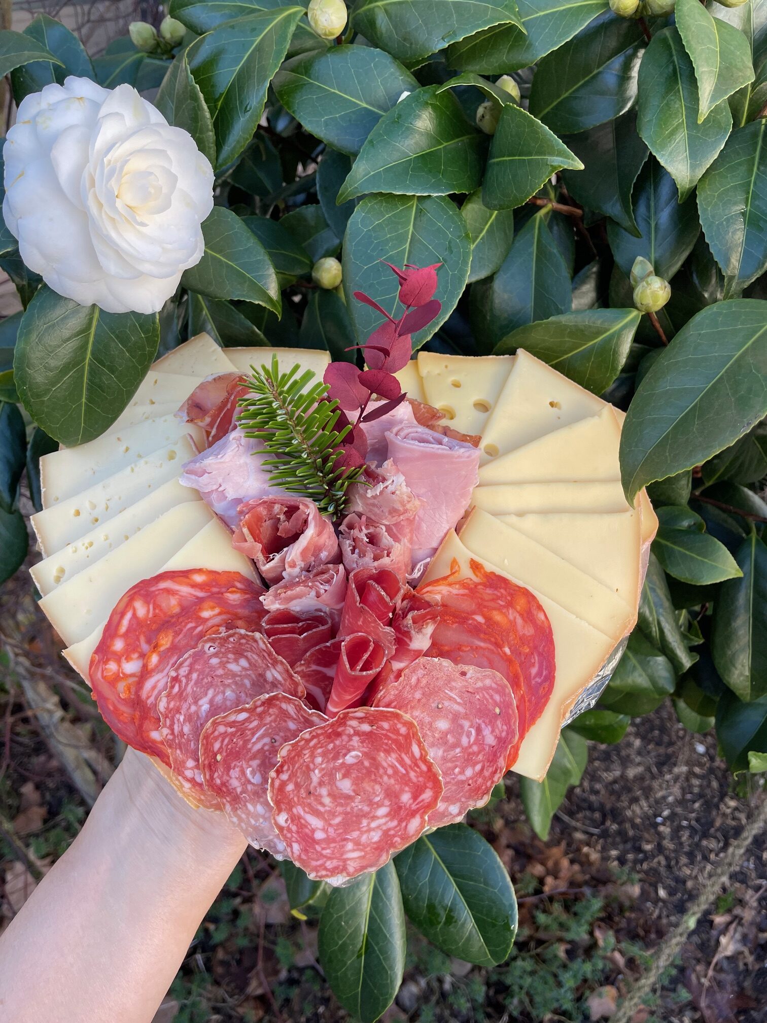 *Plateau raclettes St Valentin 1 *Plateau raclettes St Valentin